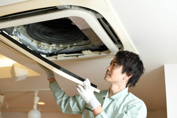 Best Air Vent Cleaning Services  in Avoca, IA